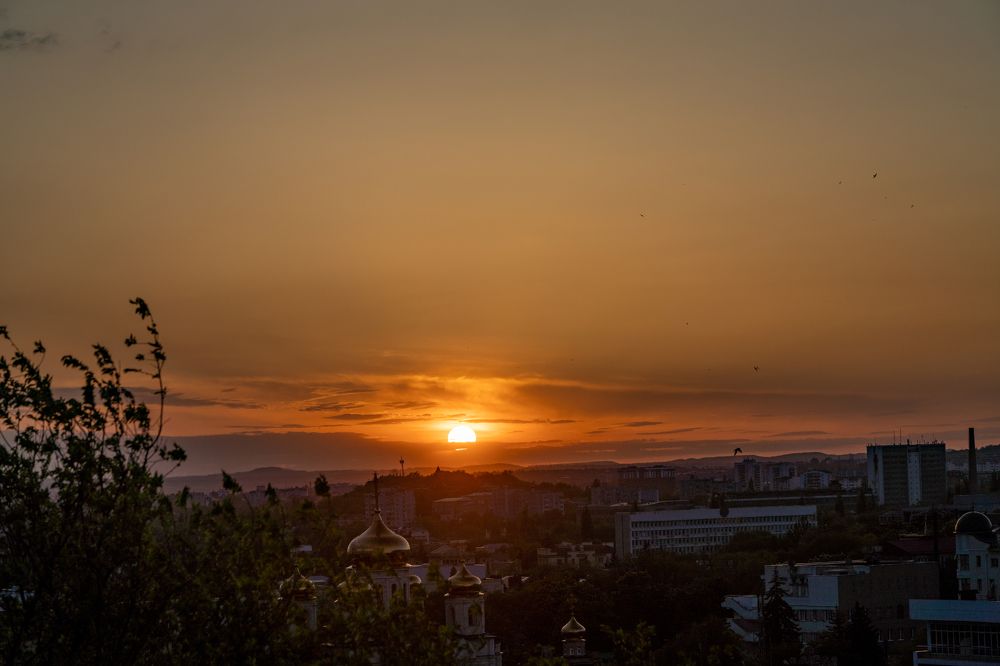 Photograph by 