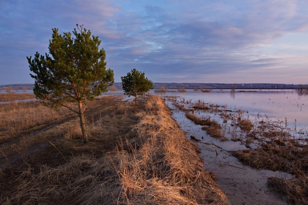 Весенний вечер