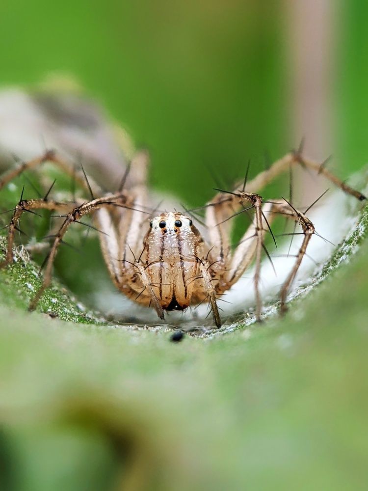 Photograph by Sai Krishna