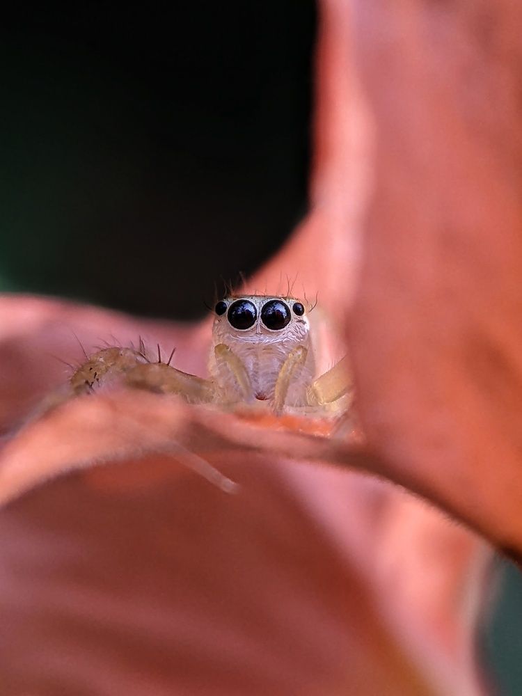 Photograph by Sai Krishna