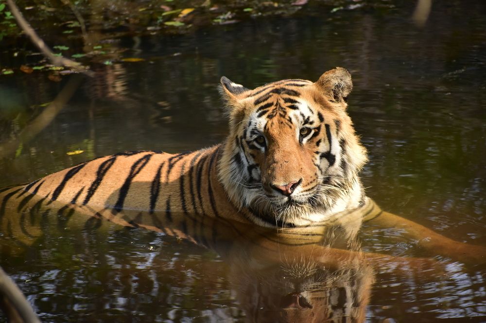 Photograph by Sheetal