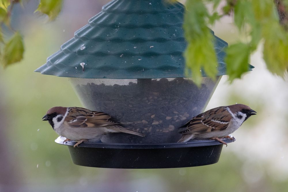 Photograph by Пономарев Илья