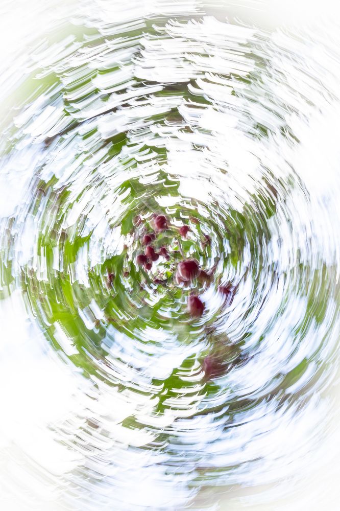 Фотография автора Каргин Валерий