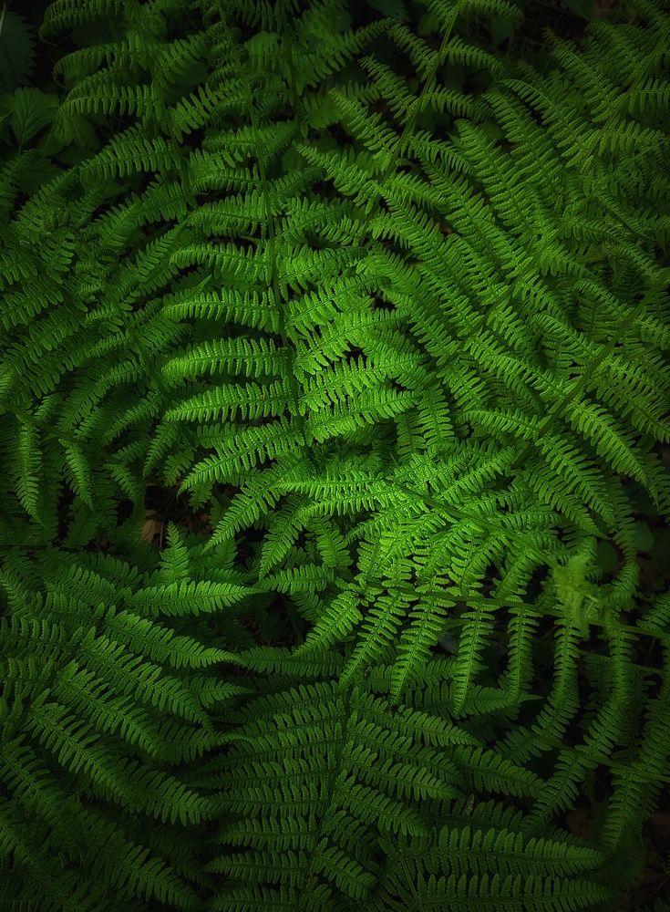 Photograph by Галина