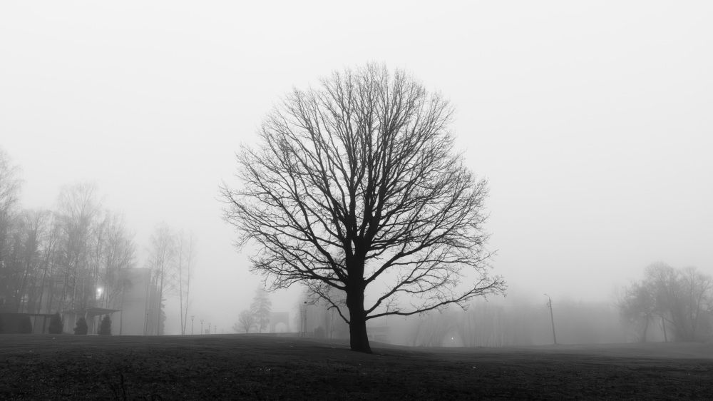 Photograph by Зиновьев Илья