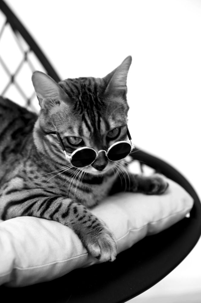 Photograph by Галина Фурсова