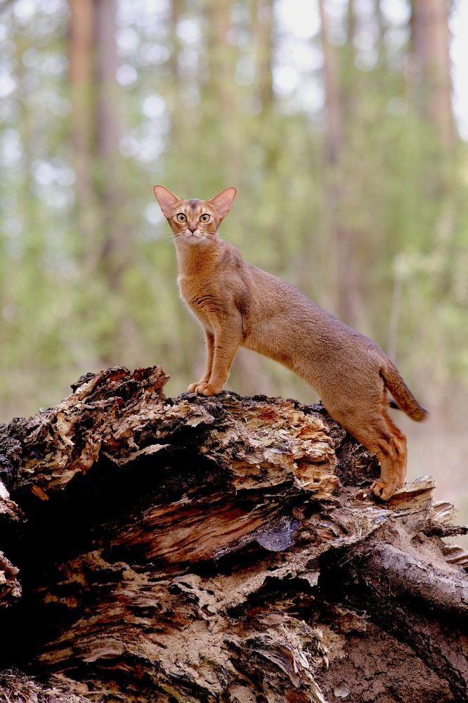 Photograph by Юлия Грищенко