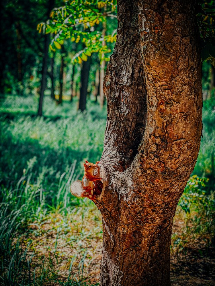 Photograph by Murat Pseunov