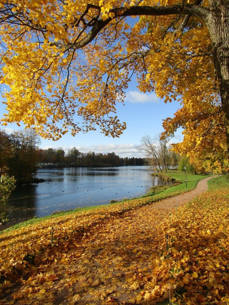 Photograph by Светлана Андреева