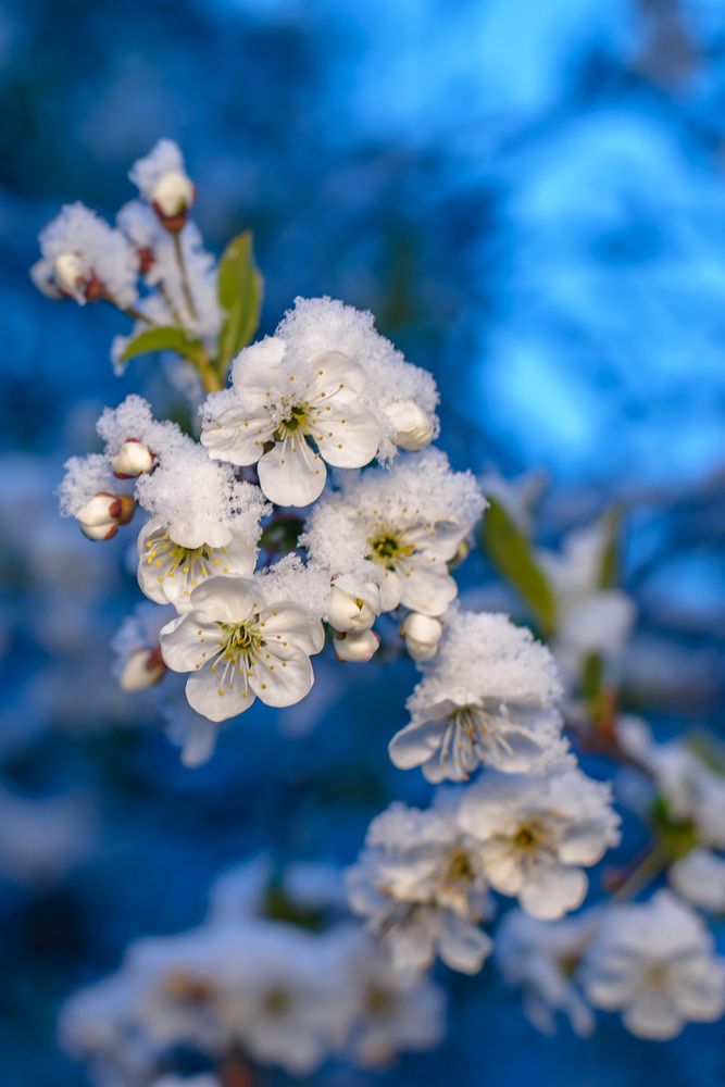 Photograph by Юлия Полянцева