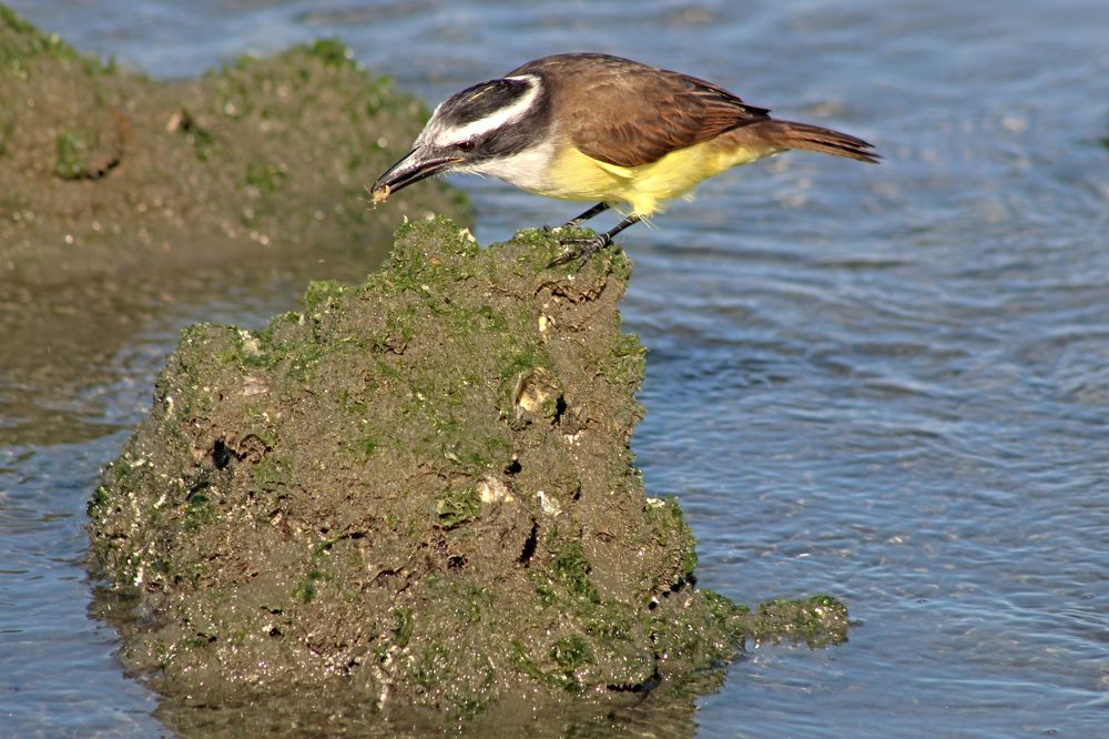 Фотография автора Márcia C S Machado