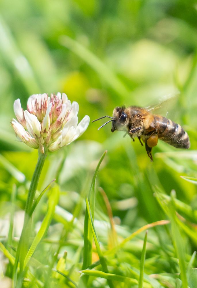 Photograph by David Dores