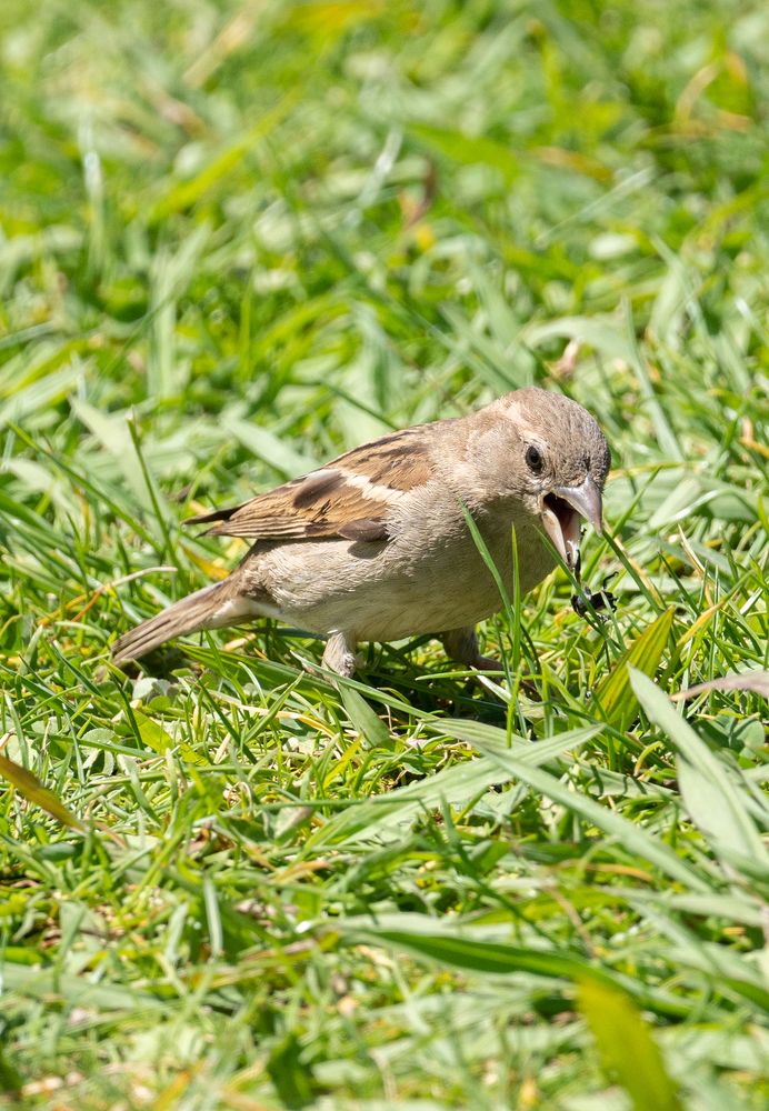 Photograph by David Dores