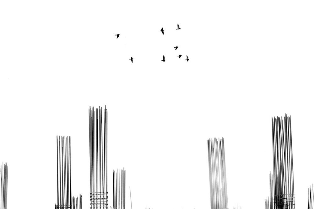 Photograph by Nazanin Davari