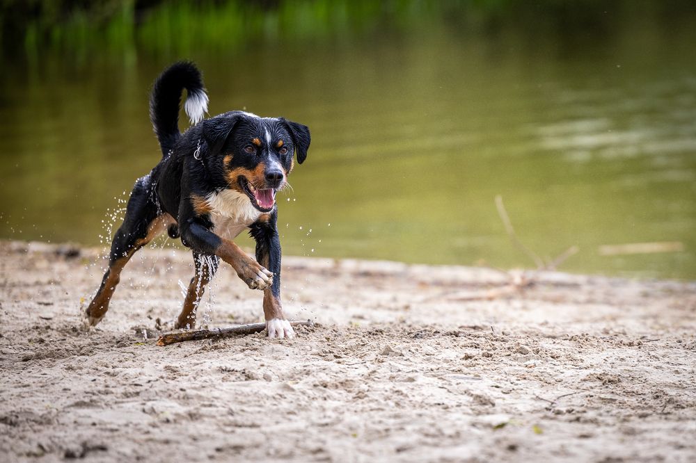 Photograph by Natalia van Houts