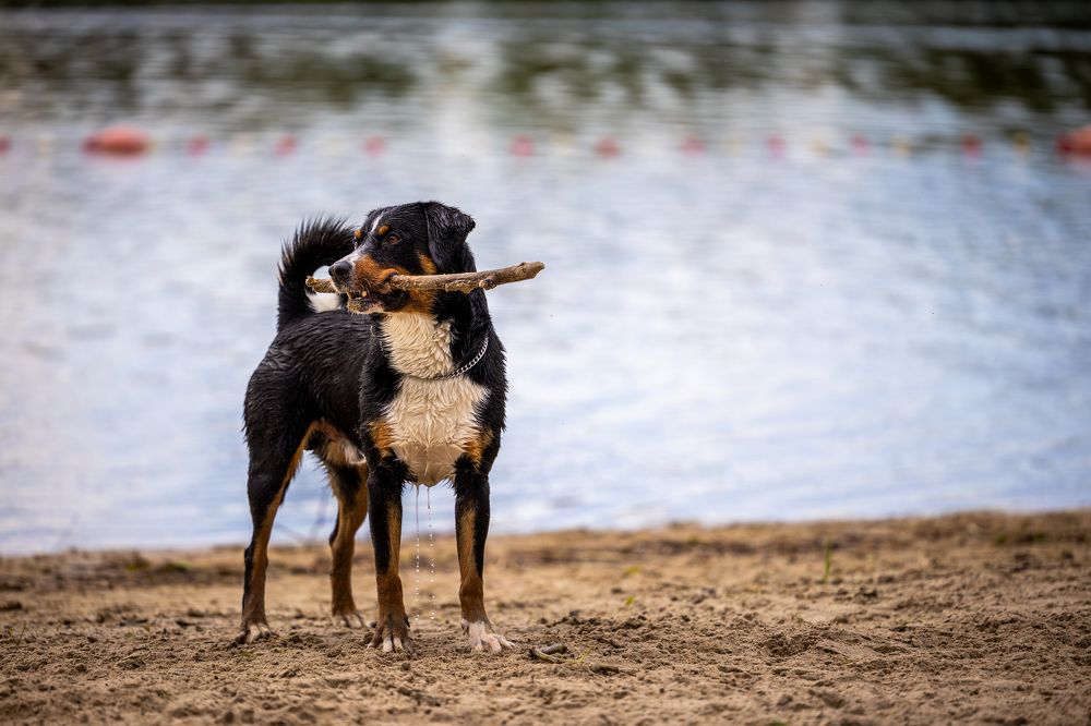 Photograph by Natalia van Houts