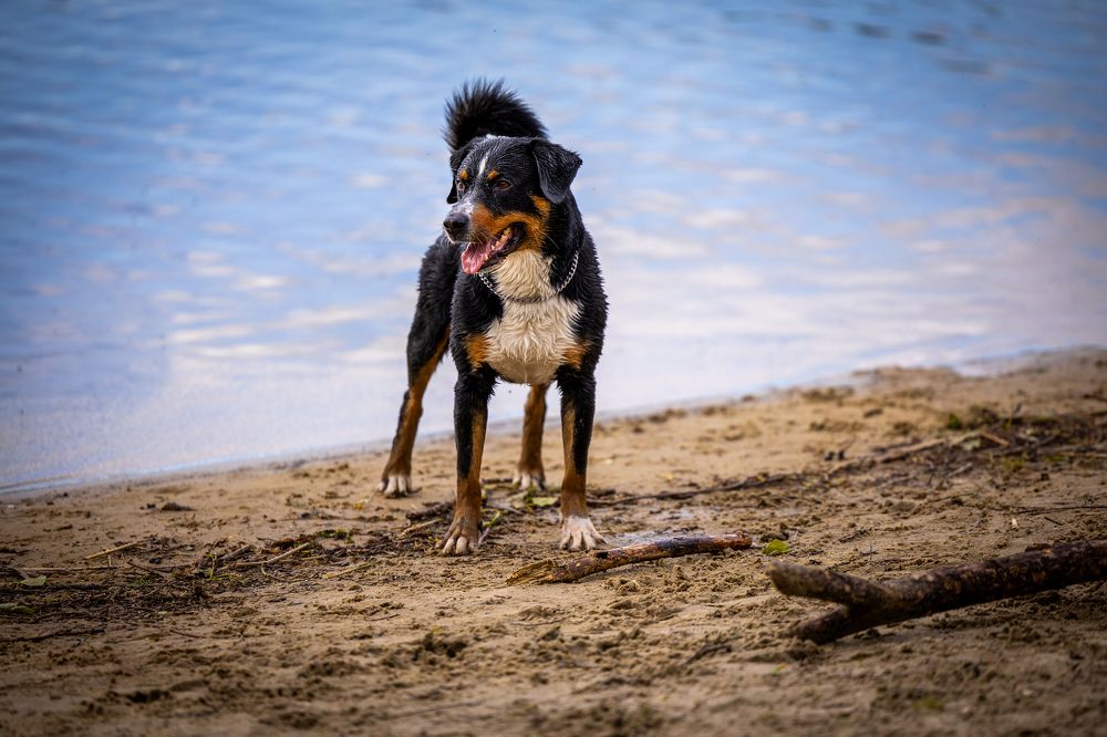 Photograph by Natalia van Houts