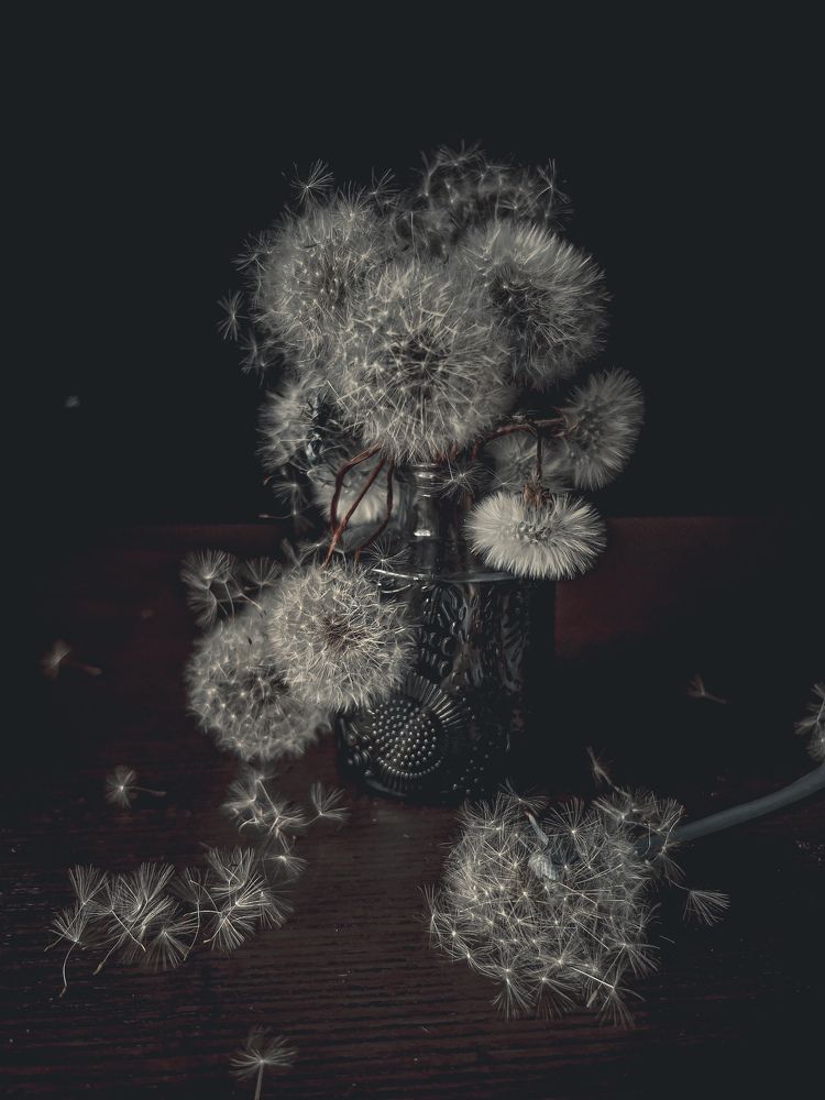 Photograph by Алена Жирова