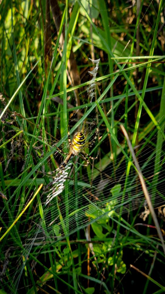 Фотография автора Всеволод Юрша