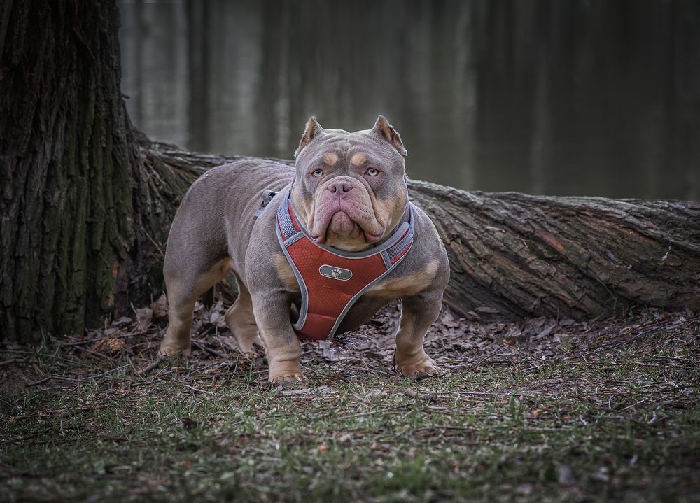 Photograph by Людмила Подольская