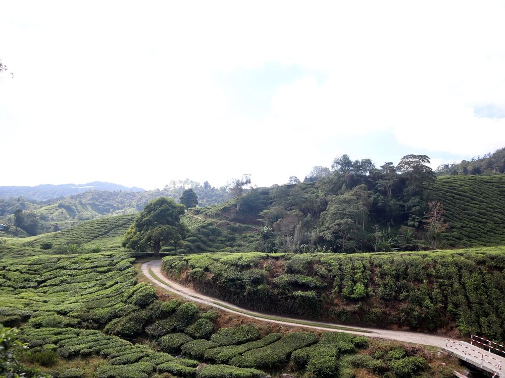 Фотография автора Kandis Arokiasamy