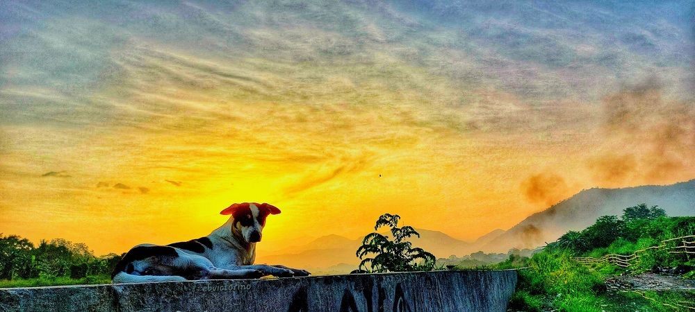 Photograph by Efren Victorino