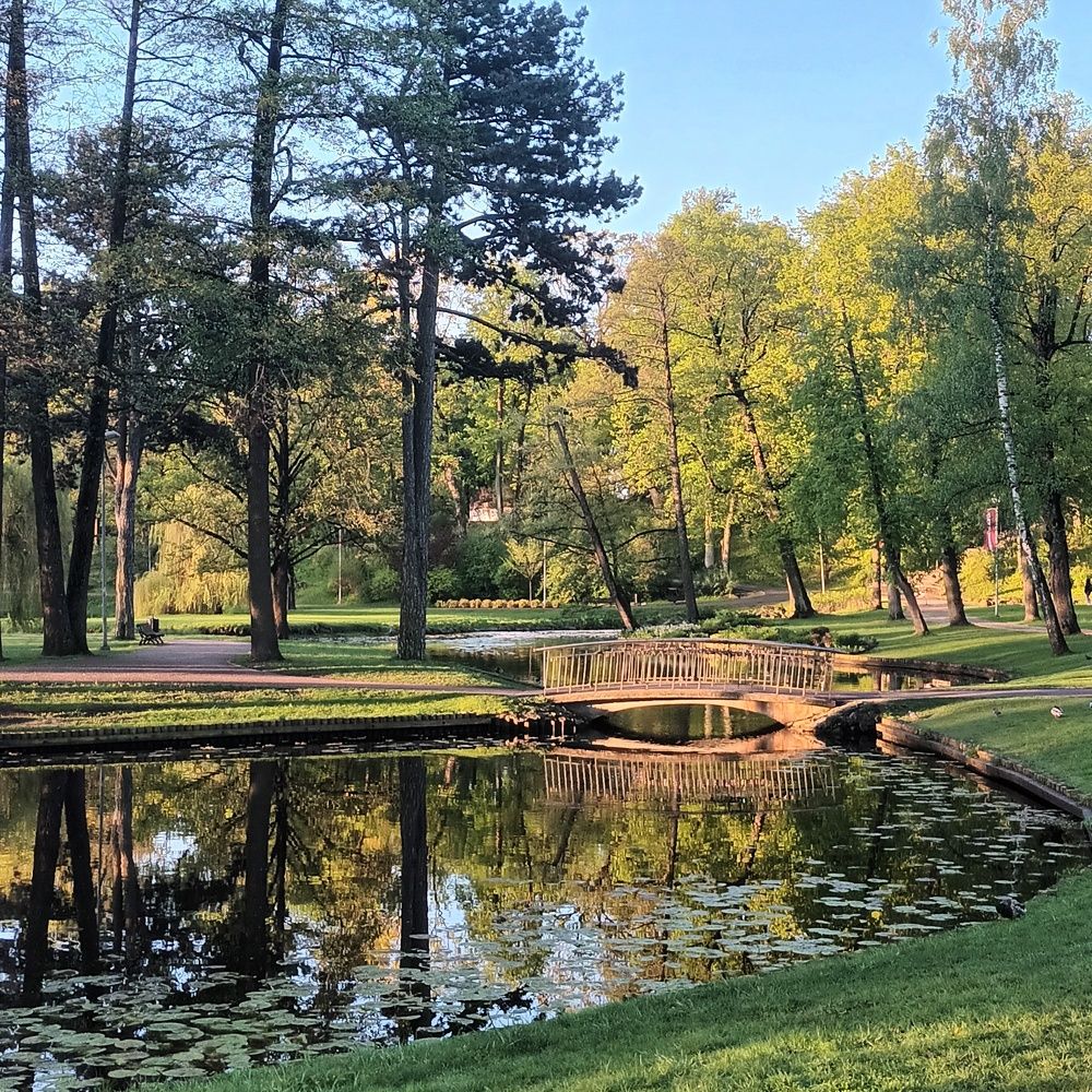 Фотография автора Maks Lanister