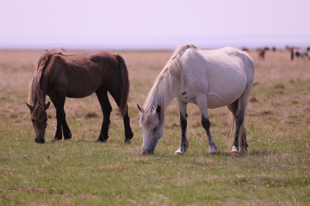 Photograph by Сергей Мозговой