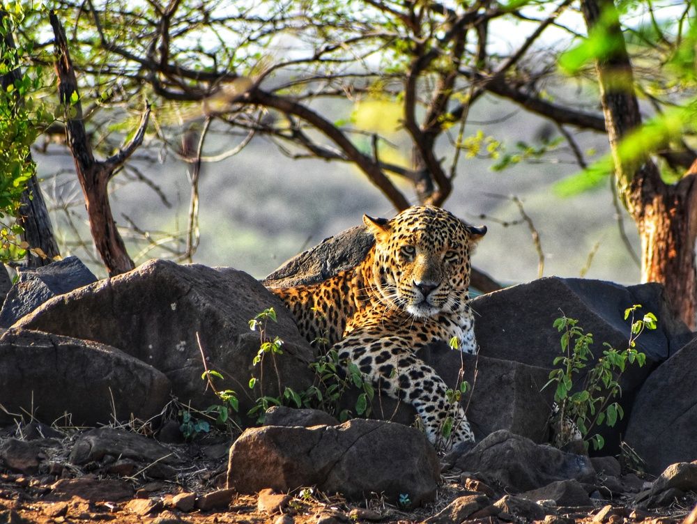 Photograph by Kriti Aggarwal