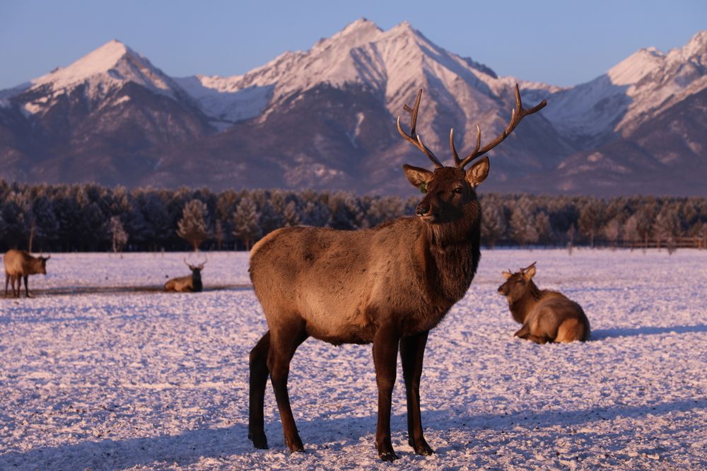 Photograph by Сергей Мозговой