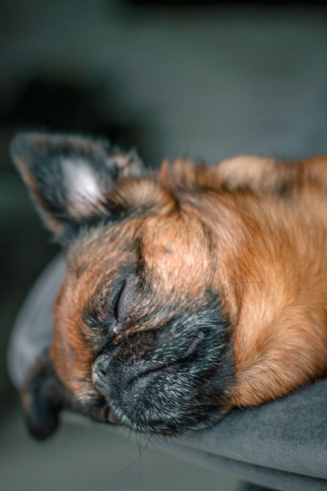 Photograph by Ольга Дорошенко