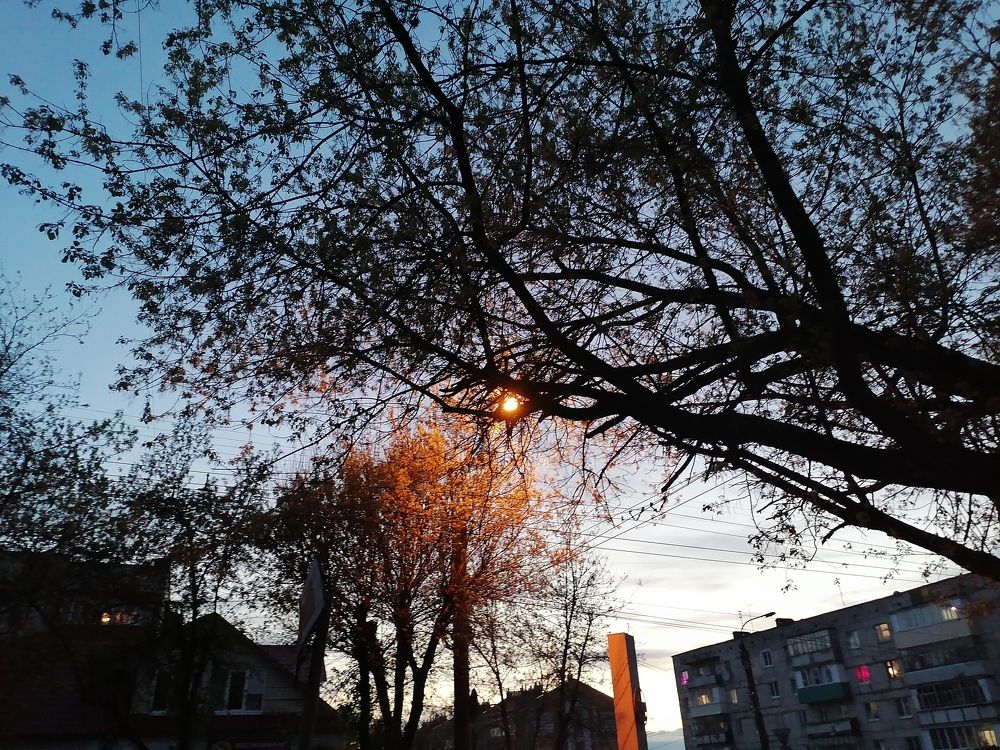 Photograph by Adrian Ошмаров