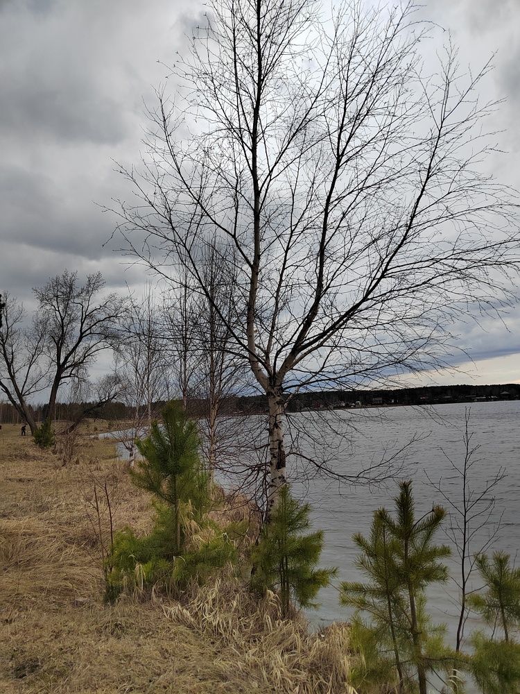 Photograph by Елена Аверьянова