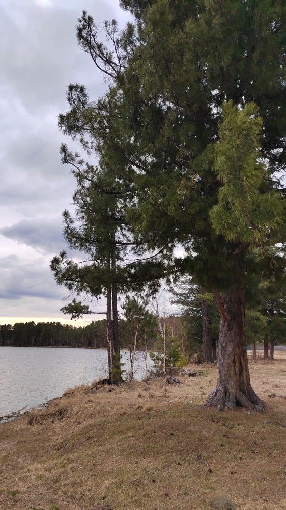 На озере Мальцево