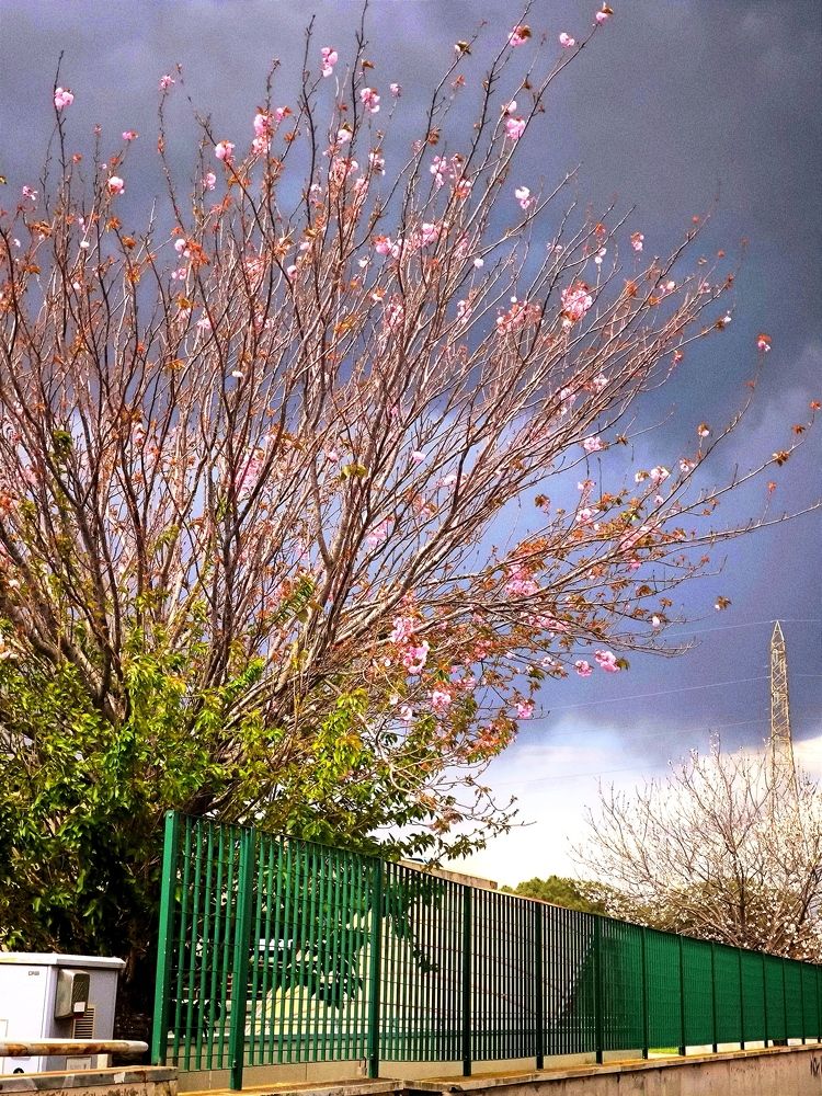 Photograph by DANIELA