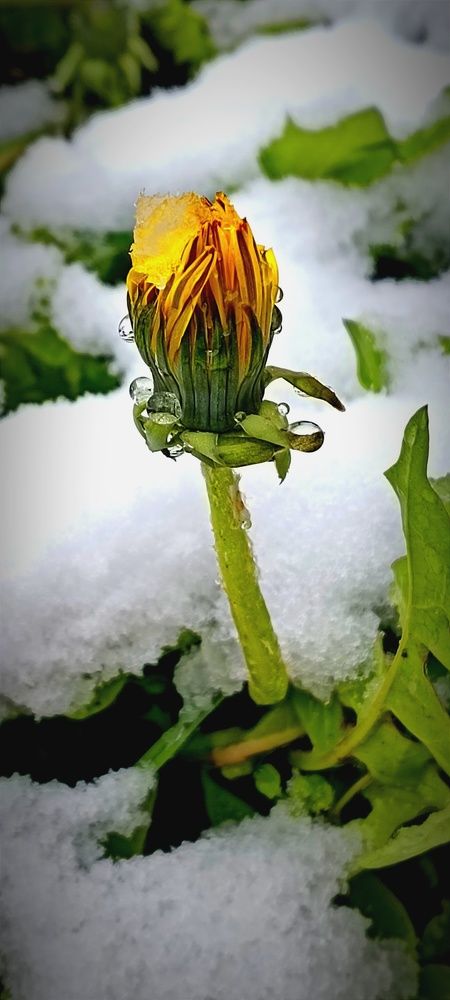Photograph by Nаtaliia Zolotova