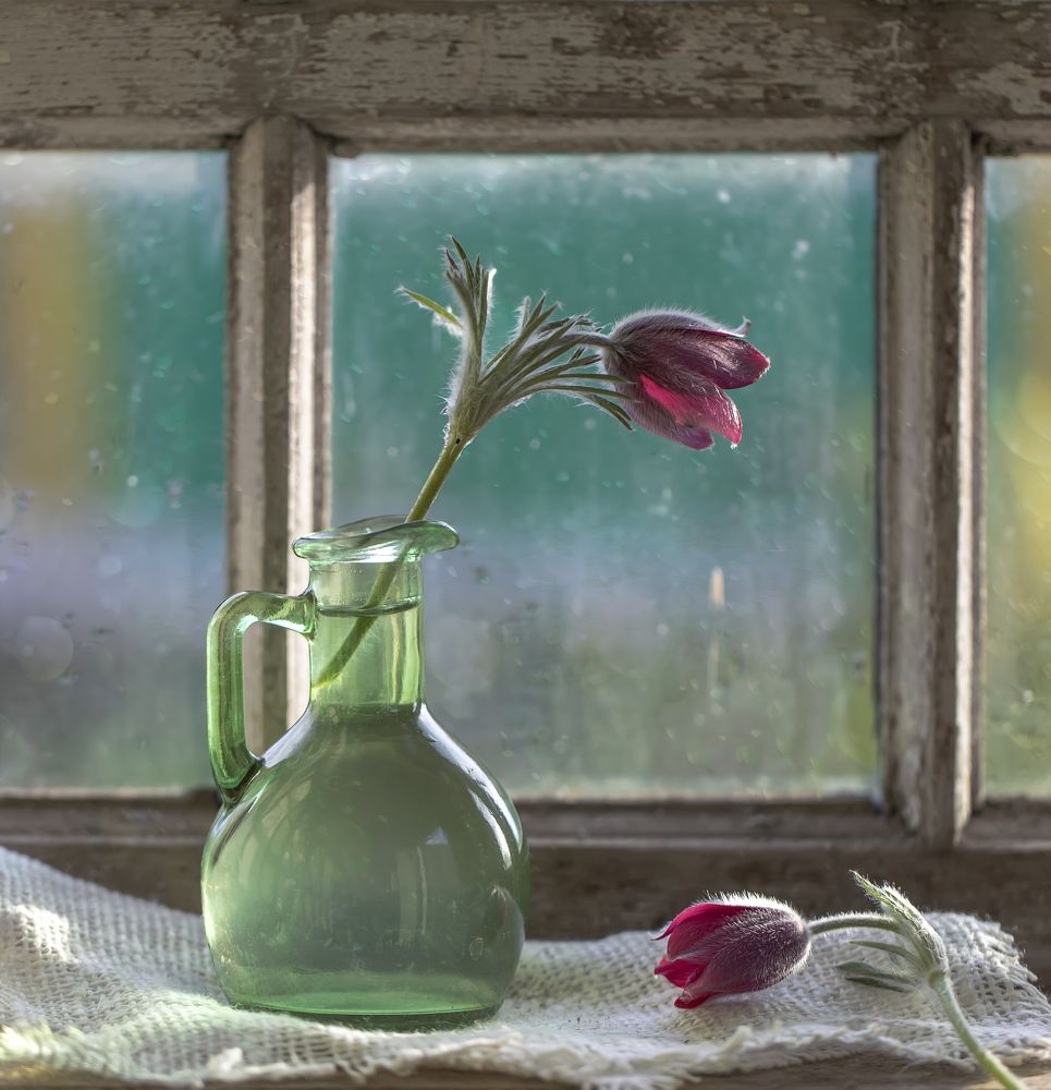 Photograph by Tatyana Fedenkova