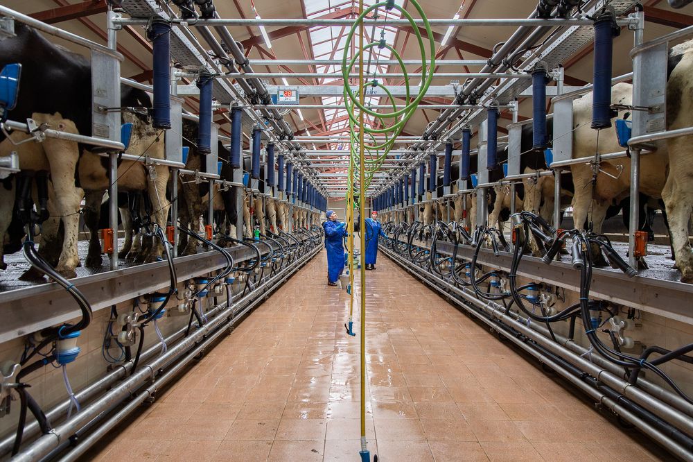 Photograph by Ольга Шиляева