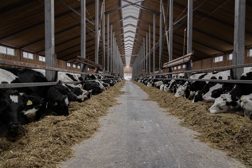 Photograph by Ольга Шиляева