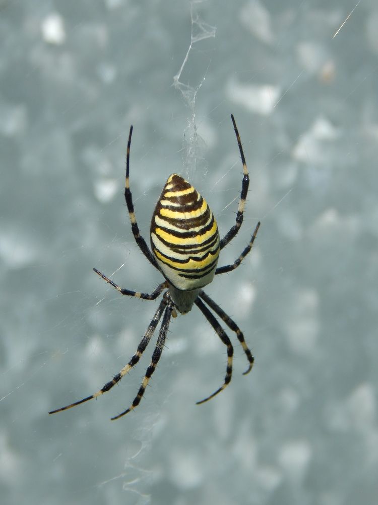 Photograph by Aлександра Чаплыгина