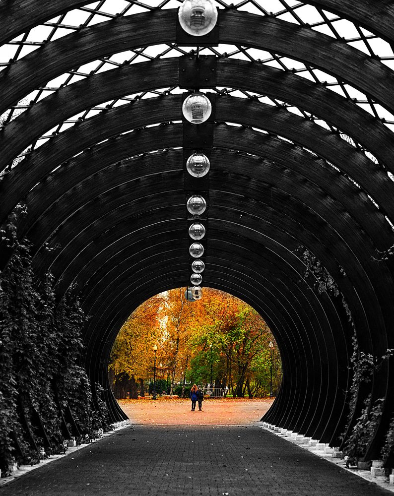 Photograph by Ксения Базарова