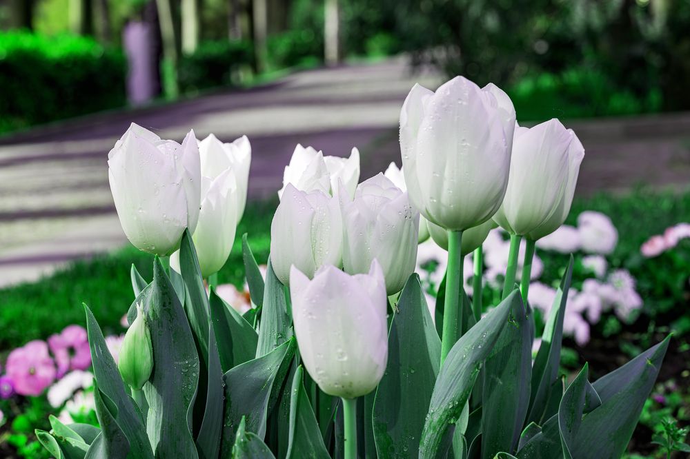 Photograph by Иван Логвинов