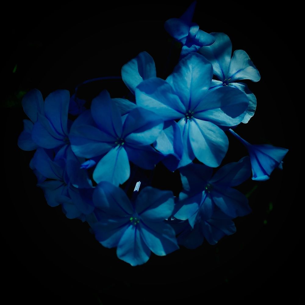 Photograph by Leonardo Rodriguez