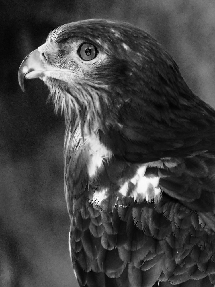 Photograph by Abdolreza Aleagha