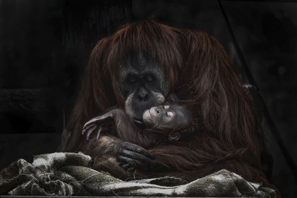 Photograph by Jesus Frias