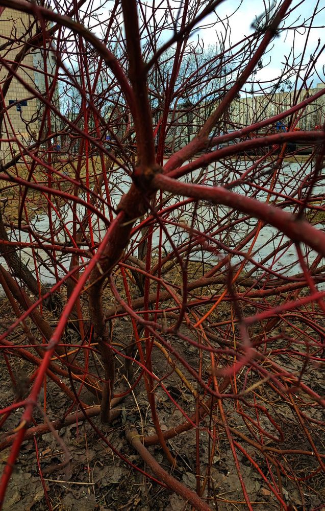 Photograph by Елена Юдина