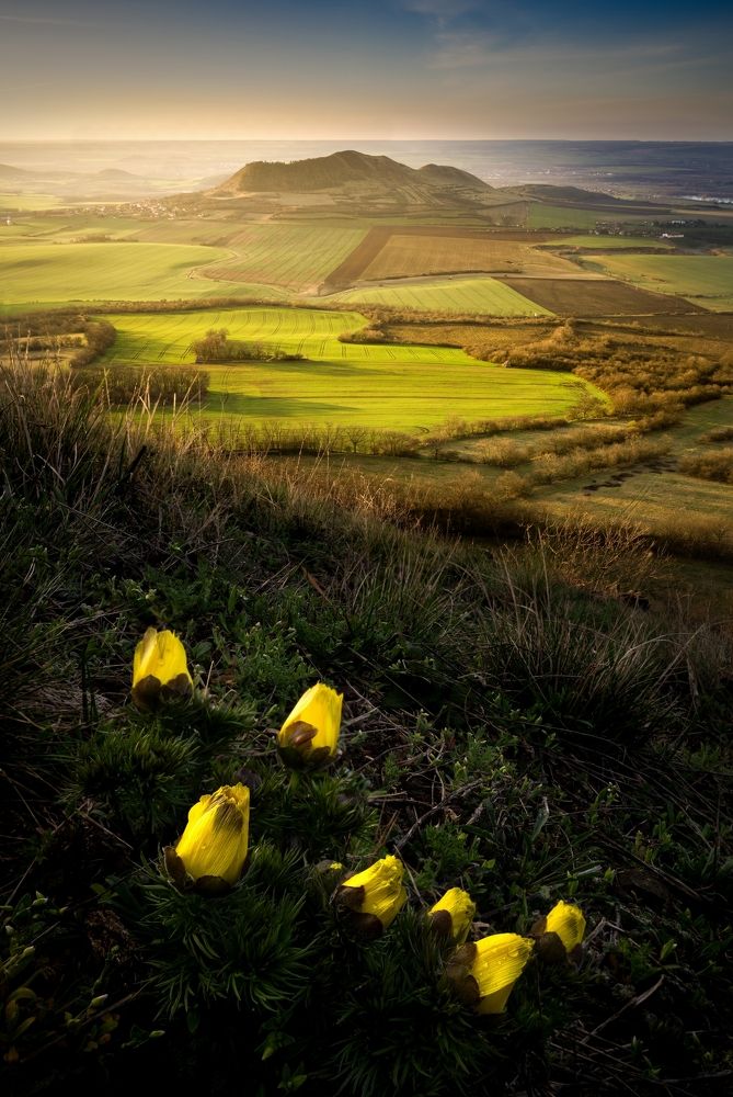 Photograph by Petr Kovar