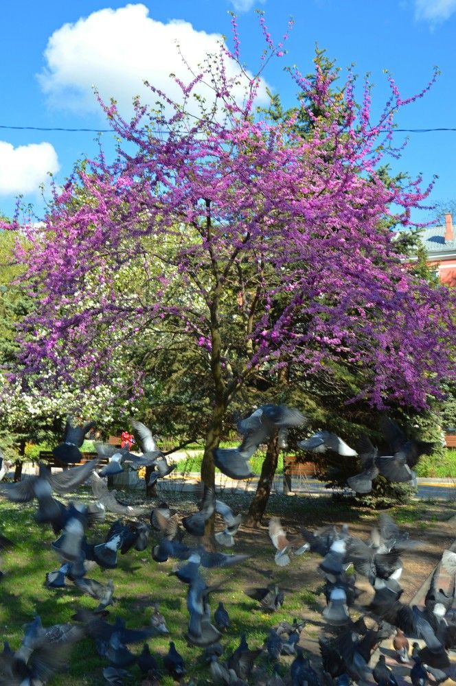 Photograph by Ольга Шевцова