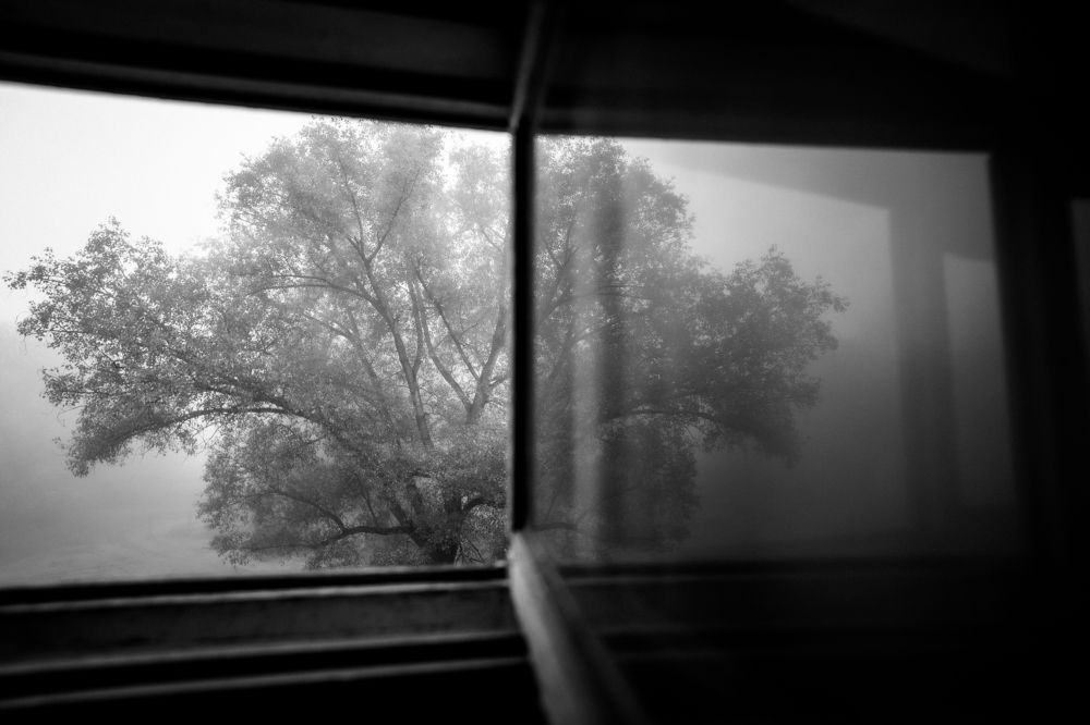 Фотография автора Сергей Александрович