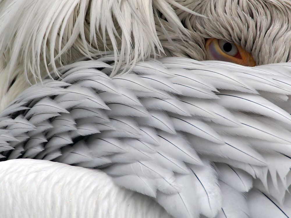 Photograph by Abdolreza Aleagha